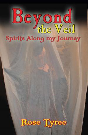 Cover of Beyond The Veil; Spirits Along My Journey
