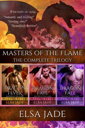 Cover of the book Masters of the Flame by Elsa Jade