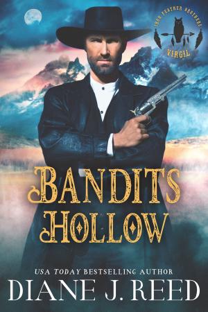 Cover of the book Bandits Hollow by Rebecca Norinne, Jamaila Brinkley