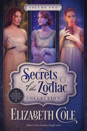 Cover of the book Secrets of the Zodiac Collection by Chris Brookes