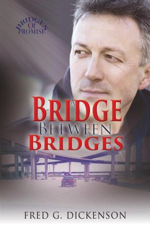 Cover of the book A Bridge Between Bridges by Marcia Reid