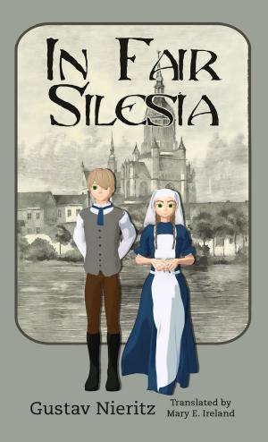 Book cover of In Fair Silesia