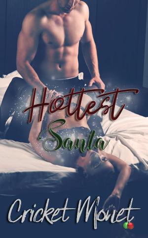 Cover of the book Hottest Santa by blaine kistler
