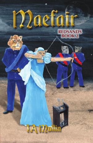 Cover of the book Maefair by Sarah M. Ross