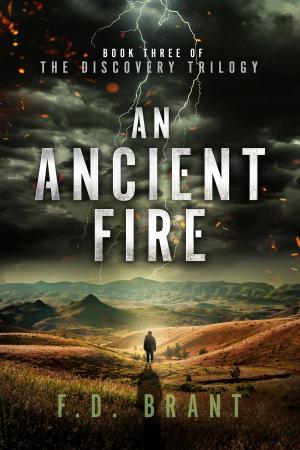 Book cover of An Ancient Fire
