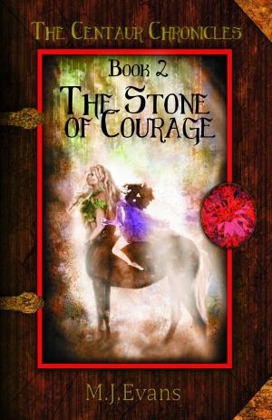 Book cover of The Stone of Courage