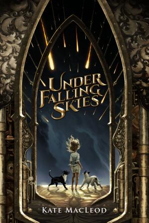 Book cover of Under Falling Skies