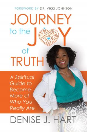 Book cover of Journey to the Joy of Truth