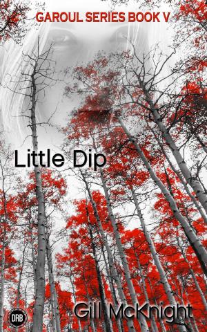 Book cover of Little Dip