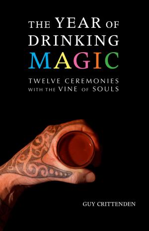 Cover of the book The Year of Drinking Magic: Twelve Ceremonies with the Vine of Souls by Renee Beck, Sydney Barbara Metrick