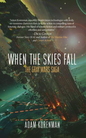 bigCover of the book When The Skies Fall by 