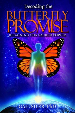 Cover of the book Decoding the Butterfly Promise by EDMUND R. JOHNSON