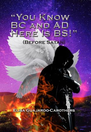 Book cover of "You Know BC and AD Here is BS!"