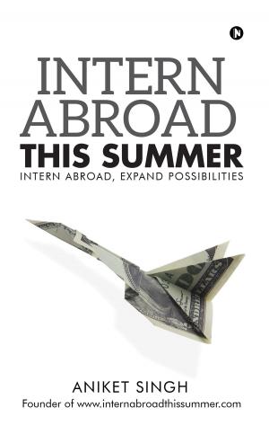 Cover of the book Intern Abroad This Summer by Baman Tadiwala
