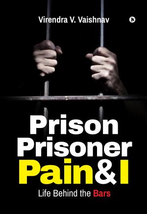 Book cover of Prison Prisoner Pain & I