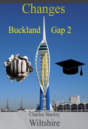 Cover of Changes: Buckland Gap 2
