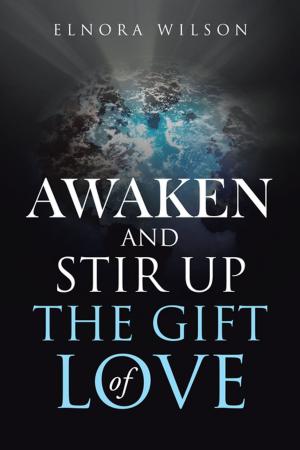 Cover of the book Awaken and Stir up the Gift of Love by Omid Baghizadeh