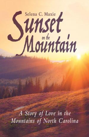 Cover of the book Sunset on the Mountain by Portia Reading