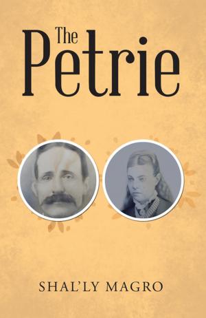 Cover of the book The Petrie by Paola Solís