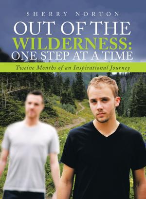 Cover of the book Out of the Wilderness:One Step at a Time by Leah R. Bergstrom