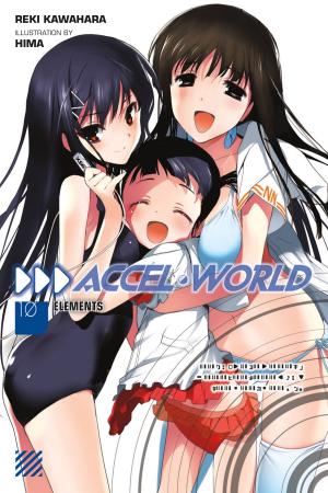 Cover of the book Accel World, Vol. 10 (light novel) by Norimitsu Kaihou (Nitroplus), Sadoru Chiba