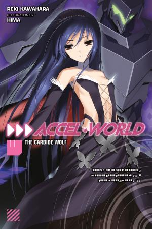 Cover of the book Accel World, Vol. 11 (light novel) by Takahiro, strelka