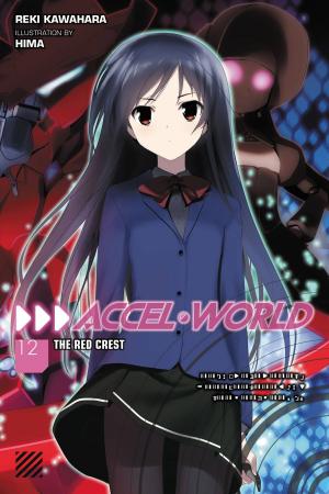 Cover of the book Accel World, Vol. 12 (light novel) by Tomoo Yokoyama