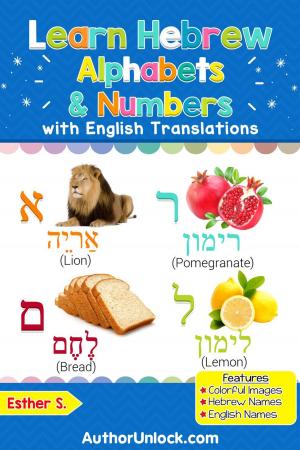 Book cover of Learn Hebrew Alphabets & Numbers