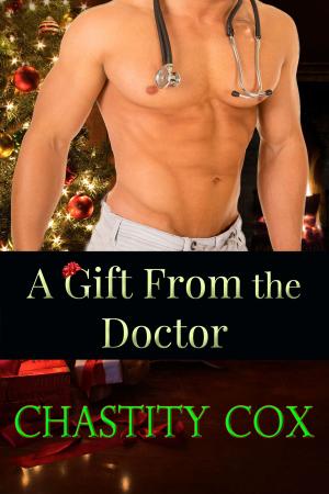 Cover of the book A Gift From the Doctor by Liz A
