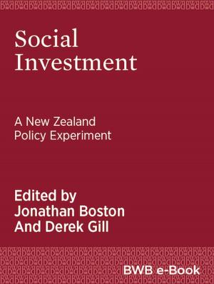 Cover of the book Social Investment by Kirsty Gunn