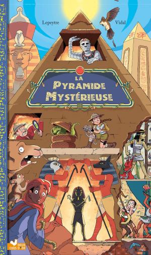 Cover of the book La pyramide mystérieuse by Rozenn