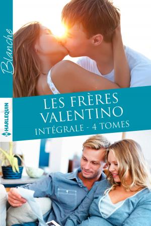 Cover of the book Les frères Valentino by Laura MacDonald