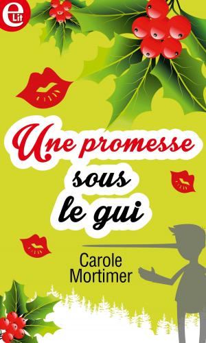 Cover of the book Une promesse sous le gui by Alisa JS, T. Owen Stark