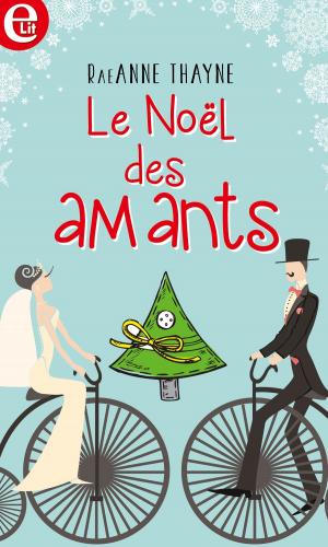 Cover of the book Le Noël des amants by Fanny André