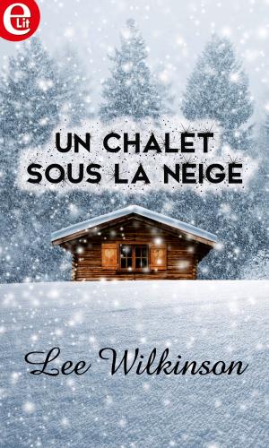 Book cover of Un chalet sous la neige