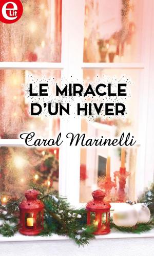 Cover of the book Le miracle d'un Hiver by Paula Graves