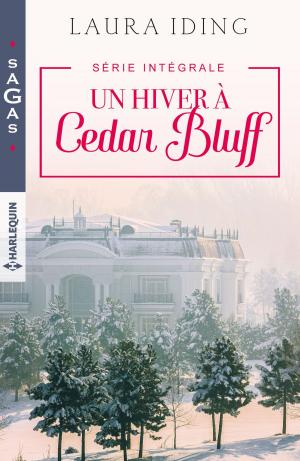 Book cover of Un hiver à Cedar Bluff