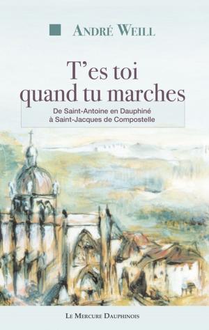 Cover of the book T'es toi quand tu marches by Erik Sablé