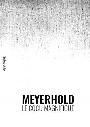 Cover of the book Meyerhold, Le Cocu magnifique by Stefano Michelini