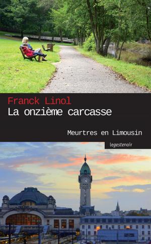Cover of the book La onzième carcasse by David Stout