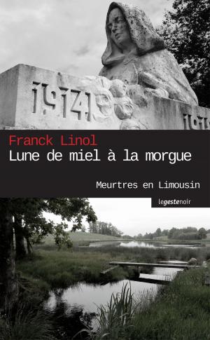 Cover of the book Lune de miel à la morgue by Franck Linol