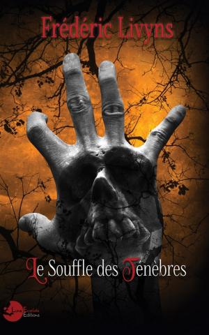 Cover of the book Le Souffle des Ténèbres by Alizée Villemin
