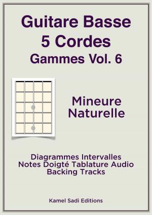 Cover of the book Guitare Basse 5 Cordes Gammes Vol. 6 by Kamel Sadi