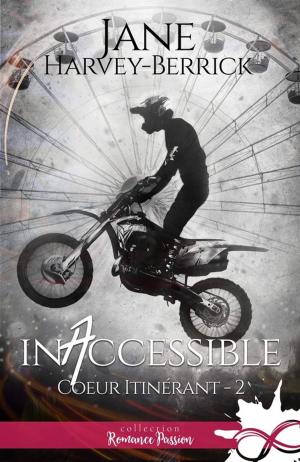Book cover of Inaccessible