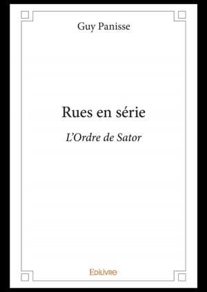 Cover of the book Rues en série by Sylvaine Forman