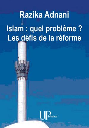 Cover of the book Islam : quel problème ? Les défis de la réforme by Jacques-François Martin