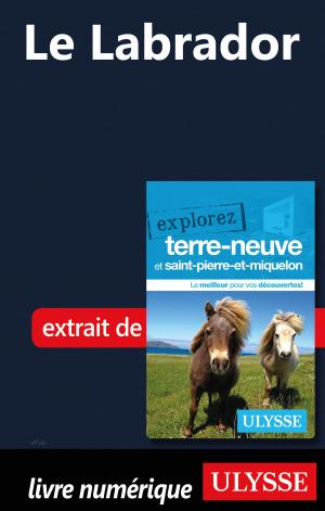 Cover of the book Le Labrador by Nathalie Prézeau