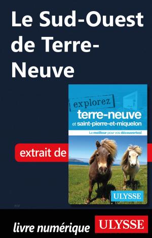 Cover of the book Le Sud-Ouest de Terre-Neuve by Jérôme Delgado