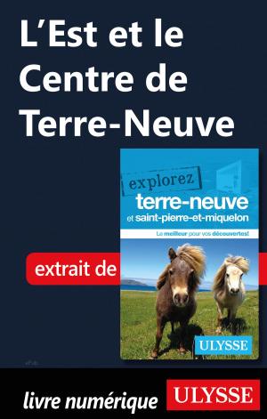 Cover of the book L'Est et le Centre de Terre-Neuve by Martin Beaulieu