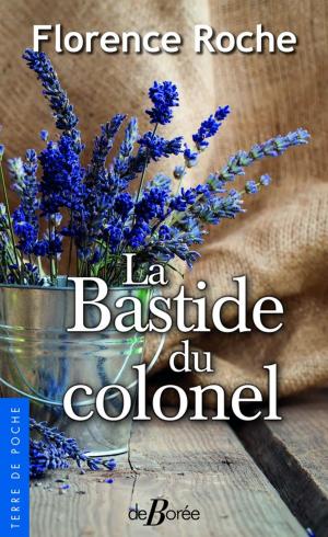 Cover of the book La Bastide du colonel by Michel Verrier